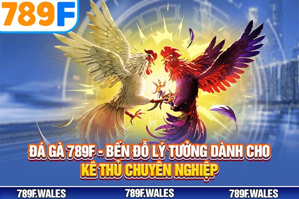 Đá Gà 789F – Sân Chơi Lý Tưởng Dành Cho Kê Thủ Chuyên Nghiệp